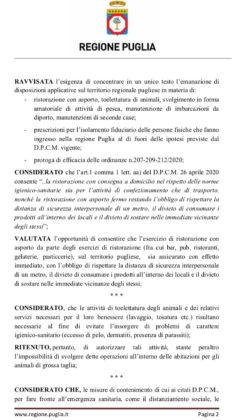 Ordinanza 2