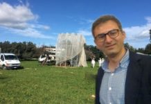 Xylella, Martellotta avvisa: “Aratura e taglio erba entro il 30 aprile”
