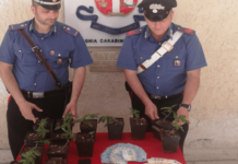Alla vista dei Carabinieri, lancia l’hashish dal finestrino. Fabbro finisce in manette
