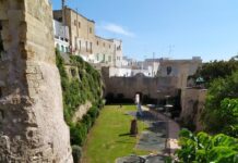 Via Cadorna: tagliata la palma del fossato, attaccata da un parassita