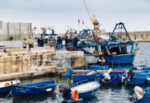 Peschereccio sconfina: dopo il pagamento della multa, oggi il rientro a Monopoli