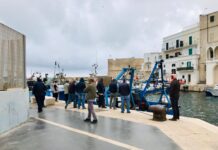 A comprare il pesce fresco, pomeriggio (troppo) movimentato al porto