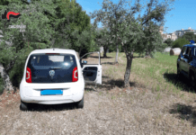 Due ladri entrano nella casa della madre di un carabiniere, il militare ne blocca uno