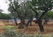 Accensione fuochi, 3 contestazioni in 5 giorni. Sanzioni record, fino a 10.300 euro