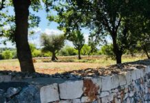 Monopoli, colpo nella villa di 2 professionisti: malviventi entrano mentre dormono