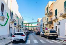 Monopoli si tinge di biancoverde. La società : “Uniti per questi colori”