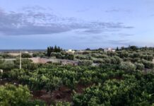 Ampliamento rete idrica nell’agro di Monopoli: chiesti 11 interventi