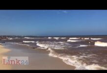 VIDEO | Acqua e terra, il mare del Capitolo oggi è marrone