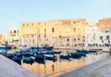 Cade in mare nel porto, anziano salvato da un militare. Annese lo premia per l’atto eroico