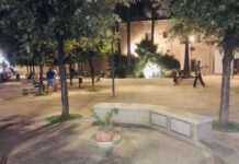 Piazza XX Settembre, la pianta al posto della fontana. Ma è solo fino al restauro