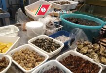 Pesce scaduto alla sala ricevimenti di Polignano, sequestri anche a Monopoli