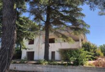 Un vigneto nei terreni confiscati alla criminalità , il progetto di Monopoli come best practice