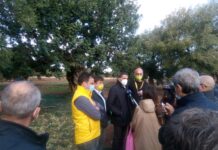 Parte da Monopoli la campagna di raccolta delle olive e la produzione di extravergine