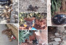 Rifiuti e deiezioni tra il verde e sotto le foglie, scempio in via P. Manghisi