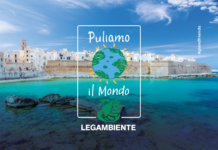 Imprenditori e volontari, domani insieme per pulire Lido Bianco e Porto Rosso