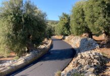Monopoli, 1,5 milioni per il rifacimento del manto delle strade rurali