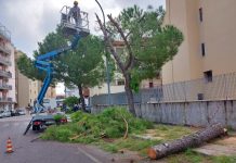 Monopoli, “Le tragiche notizie che hanno colpito la nostra regione impongono rispetto, equilibrio e senso di responsabilità ”