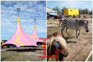 circo