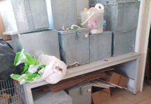 La salma nel deposito del Cimitero, Spazio Civico: “Sindaco inadeguato. Chieda scusa alla famiglia”