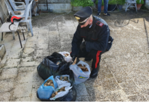 Arresto di Natale, 48enne voleva vendere in centro botti illegali