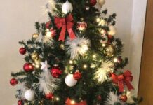 Spostamenti vietati a Natale e a Capodanno, Conte apre uno spiraglio