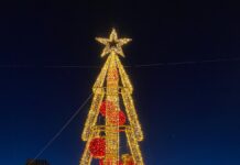 Natale a Monopoli, domani sera l’accensione dell’albero in piazza