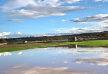 Canale di Pirro, il cielo sopra e sotto. Ma il maltempo danneggia coltivazioni