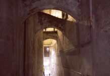Covid, 6 guariti in un giorno. A Monopoli 111 positivi. Annese: “Una piccola luce in fondo al tunnel”