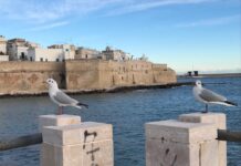 Monopoli, domani un’alba diversa. Bagno propiziatorio accompagnato dalla musica