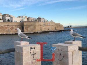 monopoli portavecchia gabbiani