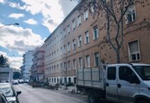 Via i pini che costeggiano la scuola. Palmisano: “Erano pericolosi. In giornata sostituiti con lecci”
