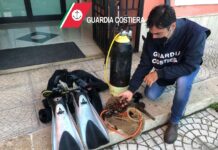 Incastrato dal drone: aveva raccolto 8kg di datteri di mare, denunciato sub di Monopoli