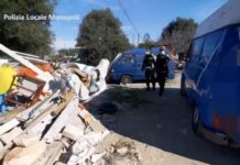 Monopoli, cani malati e nutriti con carne cruda: anche loro nel bazar dei rifiuti sequestrato