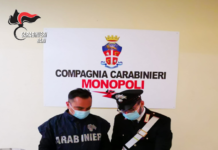 Monopoli: postino coltivava cannabis e deteneva marijuana, denunciato