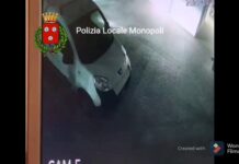 VIDEO| Cabina Enel distrutta da un’auto. Alla guida 36enne con patente scaduta