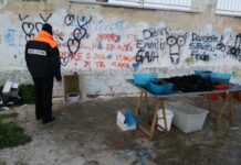 Monopoli, sequestrati 350 ricci di mare: sanzione da 3mila euro per l’ambulante abusivo