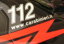 Furti in abitazione, di auto, tentata rapina, ricettazione: arresti dei Carabinieri nel Barese
