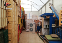 Monopoli, ritrovarono condizionatori e motori nel suo deposito di ortofrutta: assolto 44enne