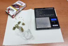 Sequestro marijuana nello scantinato, Manisporche: “Comunicato autocelebrativo della Polizia Locale”