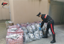Colpo alla criminalità : sequestrati 112 Kg di marijuana dal valore di 1,7 milioni. Arrestati 3 giovani