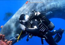 I giovani e la cultura del mare: la scuola naviga verso il futuro
