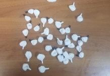 Lancia la cocaina in mare per nasconderla ai Carabinieri, la Guardia Costiera di Monopoli la recupera