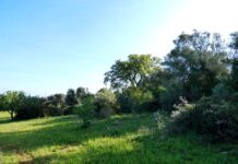 Centro raccolta rifiuti a S. Bartolomeo, Papio: “Meglio qui che a Lamascrasciola”