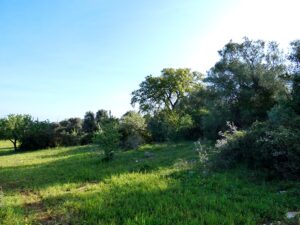 campagna monopoli5