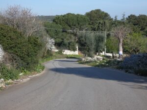 strada campagna
