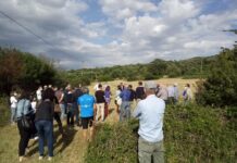CCR a Rizzitello-Lamascrasciola, Manisporche: “Dall’amministrazione idee piccole e divergenti”