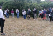 Salta (per ora) il CCR a Lamascrasciola, Manisporche: “La maggioranza scarica la responsabilità sul dirigente”