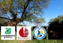 Centro raccolta nell’agro, realtà cittadine perplesse: “In una zona che va tutelata”