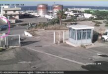 VIDEO| Monopoli, impatto in viale Aldo Moro: neopatentato alla guida ubriaco, denunciato