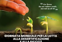 Giornata contro desertificazione: business e salvaguardia dell’ambiente domani al centro di un convegno